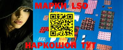 apvp Заводоуковск